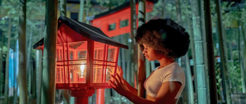 Ikono. Innovación y crecimiento a través de software a medida